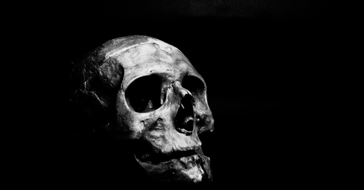 découvrez le monde fascinant de l'horreur : histoires effrayantes, films cultes, et frissons garantis. plongez dans des récits qui vous tiendront en haleine et explorez l'univers sombre du frisson.